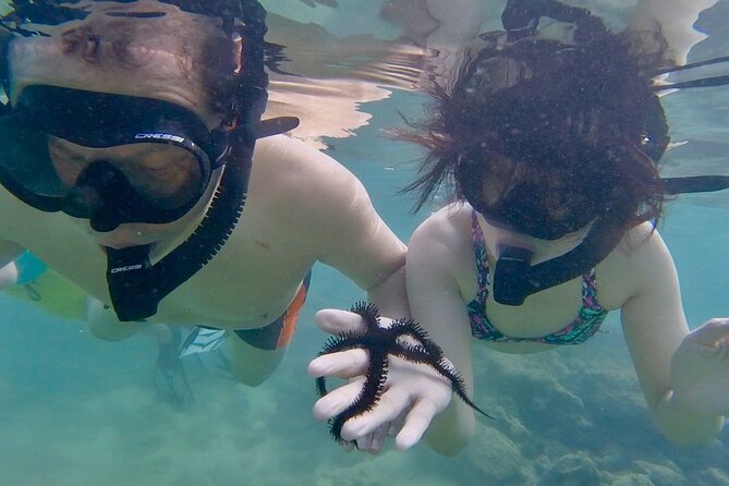 Guided Snorkel Tour for Beginners in Honolulu - Where to meet: Ala Moana start point and easy travel access