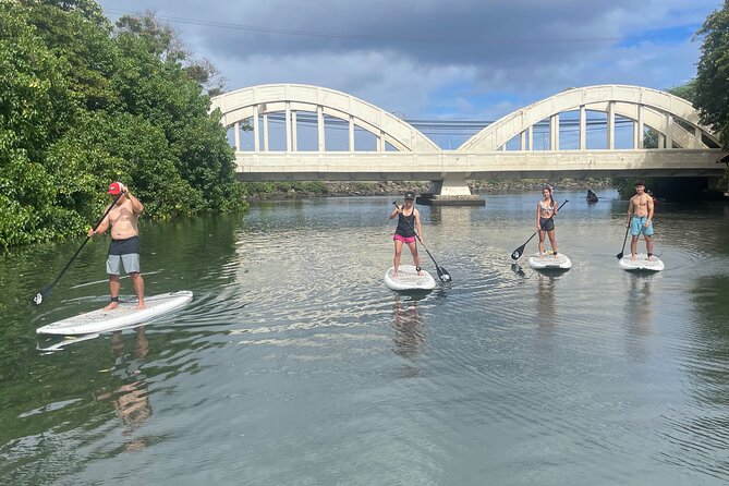 Haleiwa River Paddle Board Rental with Blue Planet Adventure Co. - 2 Hours on the Anahulu River: Upstream, Downstream, or Into Haleiwa Bay