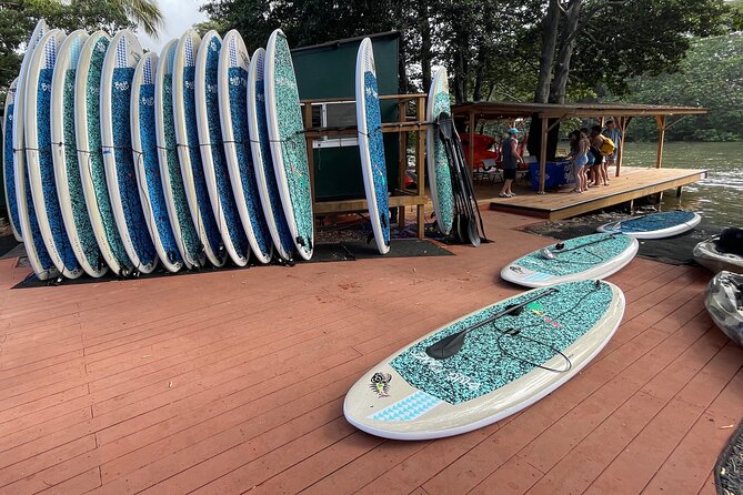 Haleiwa River Paddle Board Rental with Blue Planet Adventure Co. - Rainbow Bridge and Wildlife: Why This Route Feels Special
