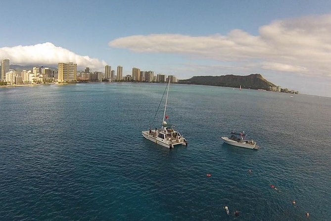 Half Day Oahu Combo Adventure: Bike, Sail and Snorkel - Snorkeling with sea turtles: what you should expect (and how to prepare)