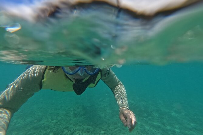 Hanauma Bay Guided Snorkeling Tour with Transportation - Key highlights worth knowing before you go