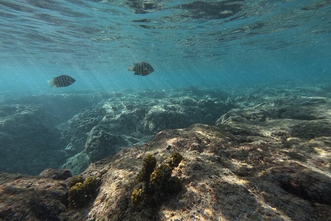 Hanauma Bay Guided Snorkeling Tour with Transportation - What to pack so you feel comfortable the whole time