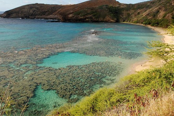 Hanauma Bay Snorkeling - The Point of Doing Hanauma Bay by Shuttle