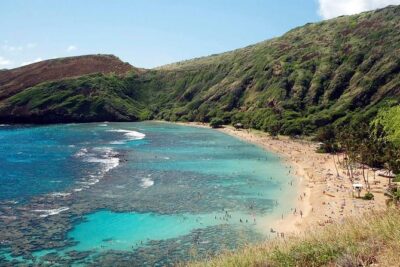 Hanauma Bay Snorkeling - Pickup at Queen Kapiʻolani Hotel: How the Morning Actually Feels