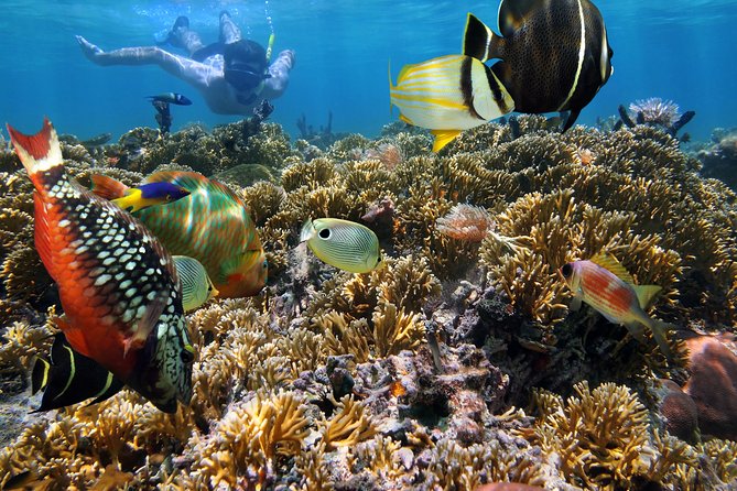 Hanauma Bay Snorkeling - Weather Tips You Can Use Immediately