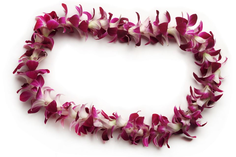 Honolulu Airport Custom Lei Greeting - Choose Your Lei - Tips to Get the Most Out of Your 20-Minute Welcome