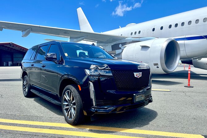 Honolulu Business Airport Transfer to/from Hotel, Cruise - Quick hits before you book