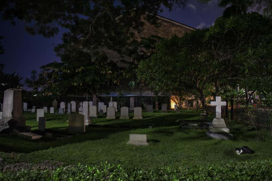 Honolulu Haunts: Ghosts and Spirits Walking Tour - The pace and group feel: you’ll stand, listen, and look