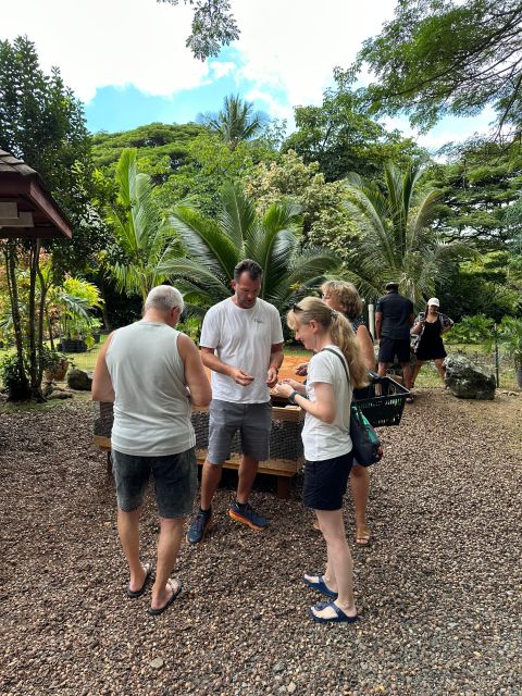 Honolulu: Highlights of Oahu Small Group Tour - Makapuʻu and whale watching: a seasonal highlight