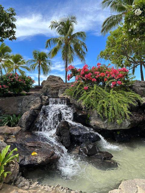 Honolulu: Highlights of Oahu Small Group Tour - The north-shore run: Pipeline, Sunset Beach, and legendary surf geography