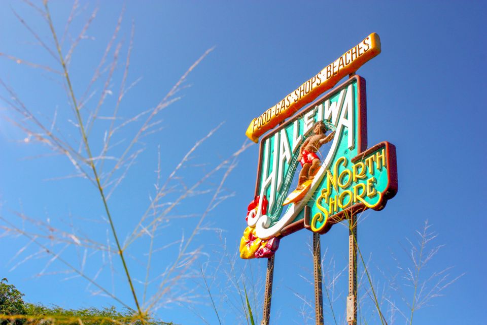Honolulu: Oahu Island Full-Day Guided Tour by Bus with Lunch - Who should book this and who should skip it