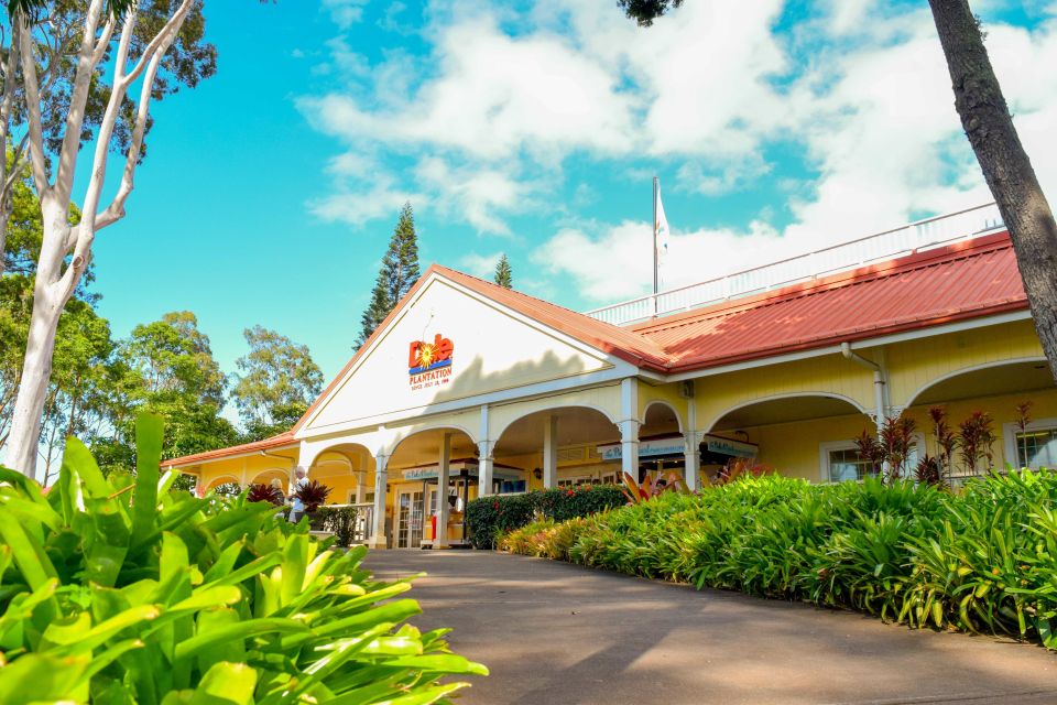 Honolulu: Oahu Island Full-Day Guided Tour by Bus with Lunch - North Shore surfing beaches: seeing fame from the road