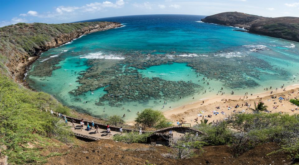 Honolulu: Oahu Island Highlights Tour with Multiple Stops - Waimānalo Town: local flavor and plant-nursery energy