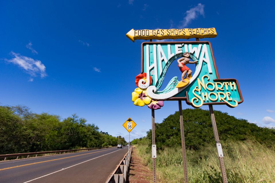 Honolulu: Oahu Sights and Bites Circle Island Foodie Tour - Puaena Point Green Sea Turtles and the Dole Plantation Finish