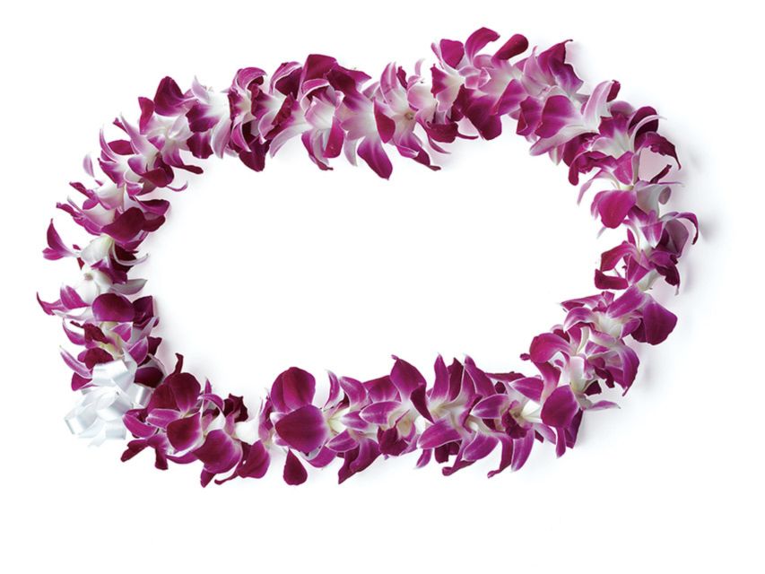 Honolulu: Private Airport Transfer with Arrival Lei Greeting - Key highlights you’ll feel right away