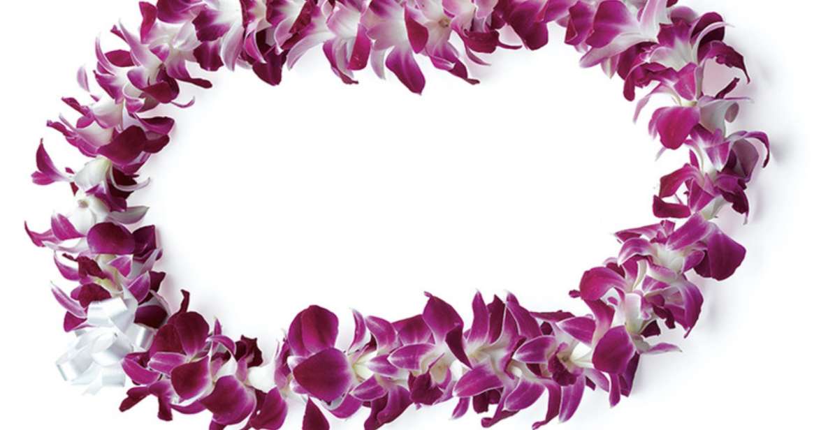Honolulu: Private Airport Transfer with Arrival Lei Greeting - The ride to Waikiki: comfortable, private, and focused