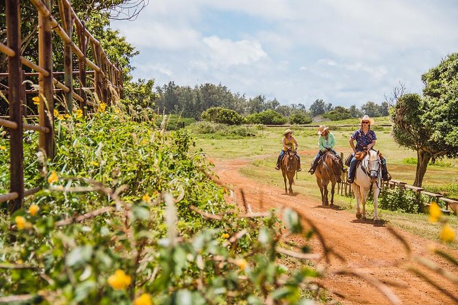 Horseback Ride Like an Authentic Paniolo in Kahuku - Gunstock Ranch in Kahuku: The North Shore Ranch Behind the Ride