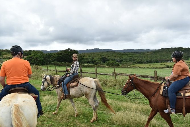 Horseback Ride Like an Authentic Paniolo in Kahuku - The Walking-Only Trail: Why the Pace Works for Almost Everyone