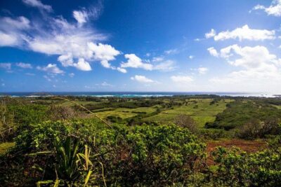Horseback Ride Like an Authentic Paniolo in Kahuku - Your 90 Minutes, Step by Step at Gunstock Ranch