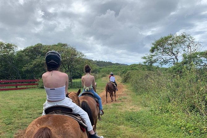 Horseback Ride Like an Authentic Paniolo in Kahuku - What to Bring and Wear for Kahuku Sun, Dust, and Shade