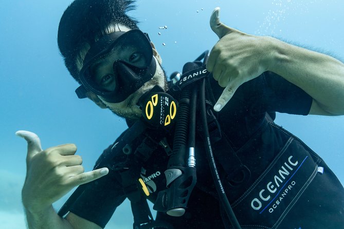 Incredibly Fun Coral Reef Giant Sea Turtles 4hour Boat Scuba Tour - Check-in at the Waikiki shop and getting equipped