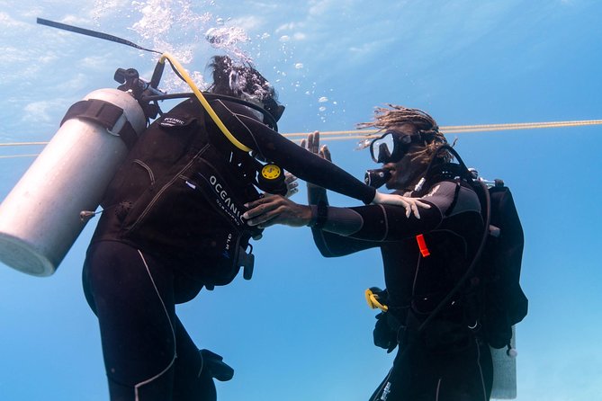 Incredibly Fun Coral Reef Giant Sea Turtles 4hour Boat Scuba Tour - Safety and rules that actually matter before you go