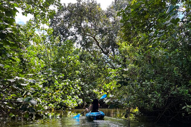 Kahana Bay River to Ocean: Kayak and Stand Up Paddle Board Rental - Key things to know before you go