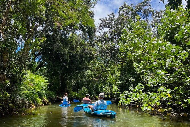 Kahana Bay River to Ocean: Kayak and Stand Up Paddle Board Rental - Gear and safety: life jackets, easy setup, and how to avoid rookie mistakes