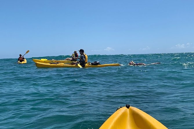 Kailua 2-Hour Guided Kayaking Excursion, Oahu - The Flat Island / Popoia Island Stop: Photos, Eco Talk, and Shore Time