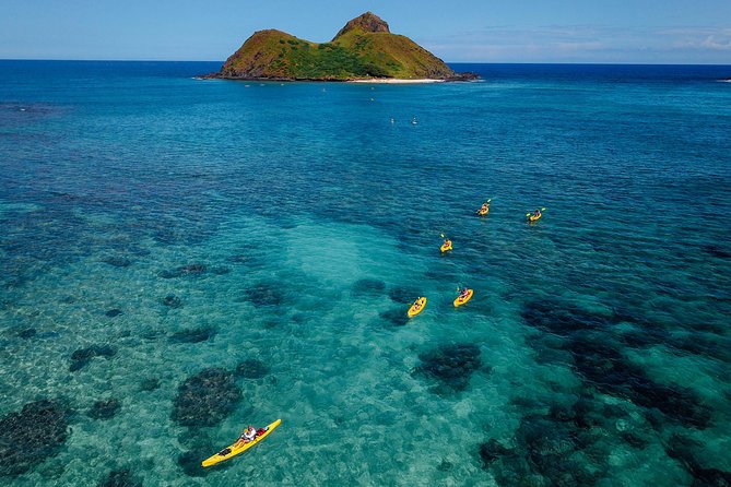 Kailua Bay, Oahu: Epic Kayak and Snorkel to Islands - Stop 3: Lanikai Beach snorkeling and the green turtle chance