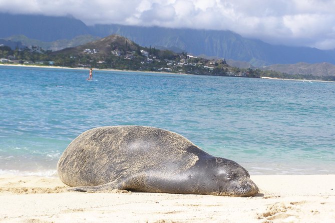 Kailua Bay, Oahu: Epic Kayak and Snorkel to Islands - Real talk: wind, distance, and the workout factor