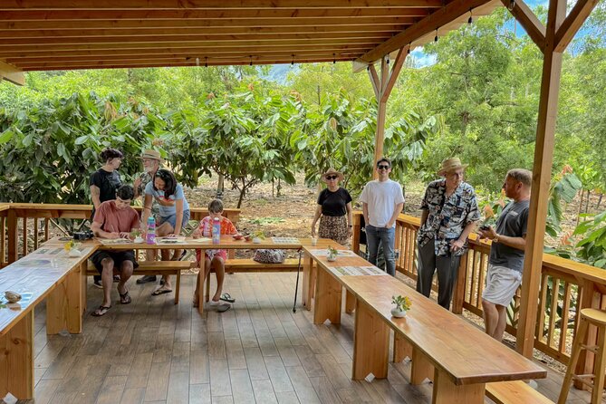 Kamananui Cacao Orchard Tour - The walking portion: seeing cacao fruit and pods up close