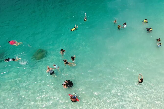Kaneohe Sandbar Snorkeling Tour - 1st Tour - Paddle Boarding and Onboard Water Fun: Shallow-Water Confidence Builder