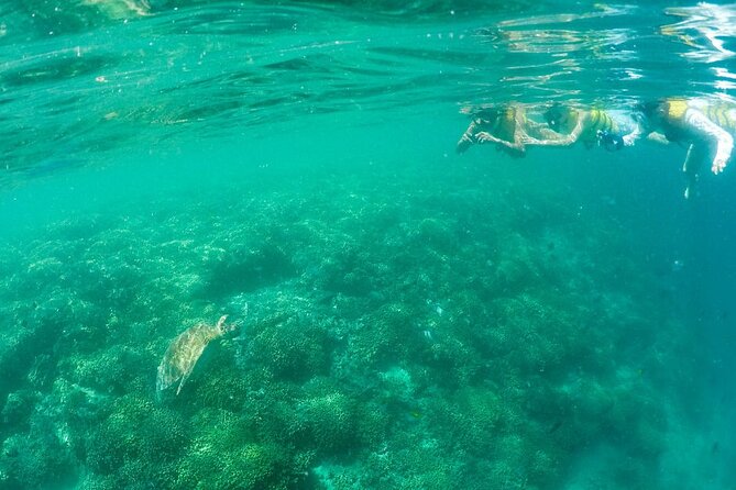 Kaneohe Sandbar Snorkeling Tour - 1st Tour - Comfort and Practical Extras: Toilets, Clean-Up, and Small Mercies