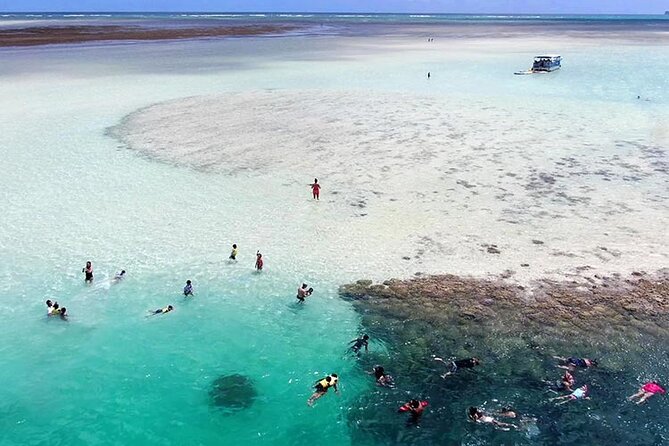 Kaneohe Sandbar Snorkeling Tour - 2nd Tour - A Smooth Afternoon: How the Tour Flows From Harbor to Sandbar