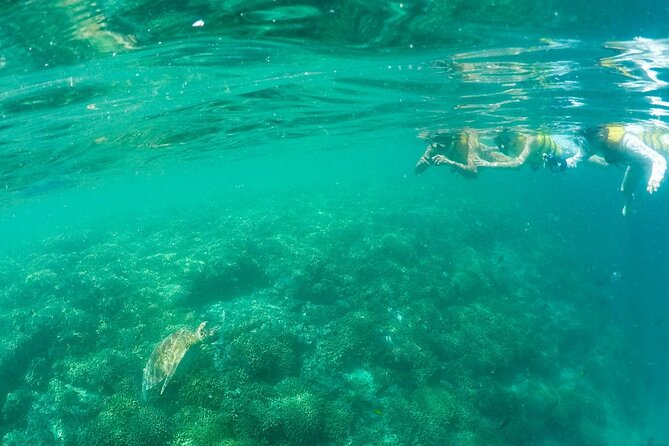 Kaneohe Sandbar Snorkeling Tour - 2nd Tour - Included Snacks, Drinks, and Gear: What You’re Not Paying For