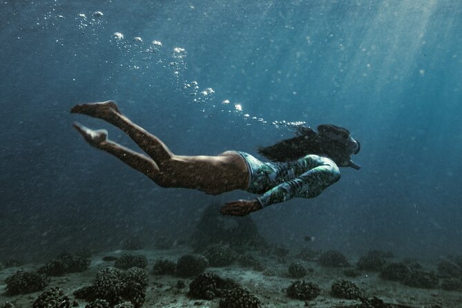 Kayak, Snorkel, and Surf with Turtles in Honolulu - Surfing Like the Kings of Old (About 1 Hour): Coaching That Builds Confidence