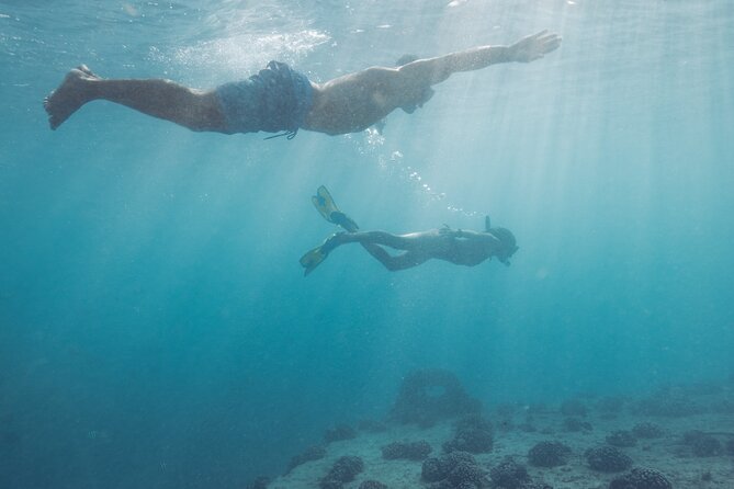 Kayak, Snorkel, and Surf with Turtles in Honolulu - Logistics That Matter: Pickup, Timing, and Small-Group Pacing