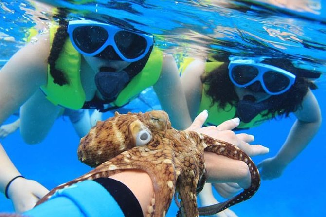 Ko Olina Catamaran Sail and Snorkel with Lunch - Ko Olina Marina: the easy start that beats long commutes