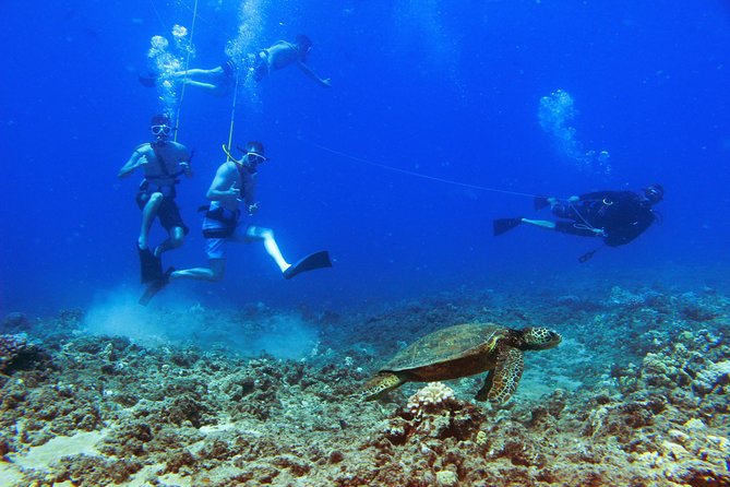 Ko Olina Catamaran Sail and Snorkel with Lunch - Snorkeling at the reef: how the stop works and what to expect