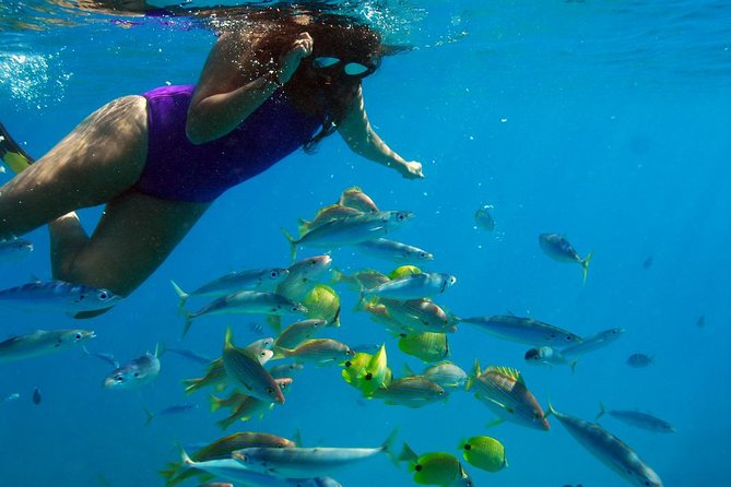Ko Olina Catamaran Sail and Snorkel with Lunch - Lunch on board: what you’ll eat, and when the bar kicks in
