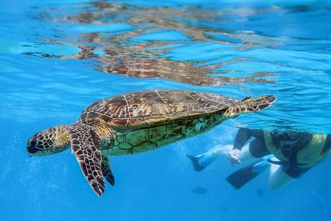 Ko Olina Catamaran Sail and Snorkel with Lunch - Price and value: is $195 worth it?