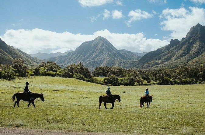 Kualoa Ranch - Horseback Walking Tour - What the check-in experience is really like