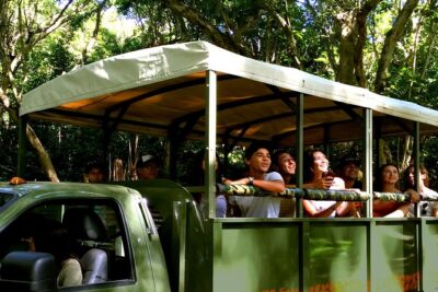 Kualoa Ranch: Jungle Expedition Tour - Swiss Pinzgauer or Off-Road Ford: The Bumpy Ride Factor