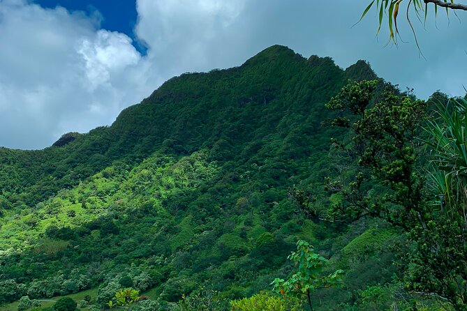 Kualoa Ranch: Jungle Expedition Tour - Moliʻi Pond: The 800-Year-Old Fishpond Moment