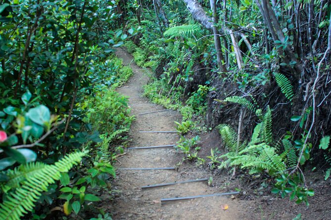 Kualoa Ranch: Jungle Expedition Tour - Why the Driver-Guide Matters More Than You Think