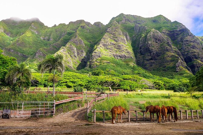 Kualoa Ranch: Novice E-Bike - Key Points at a Glance