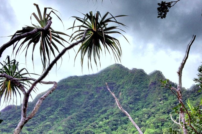 Kualoa Ranch: Novice E-Bike - Who Should Book This Novice E-Bike Tour