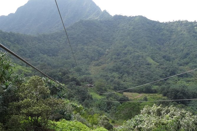 Kualoa Ranch - Zipline Tour - The zipline course itself: 14 cables, tandems, and two bridges