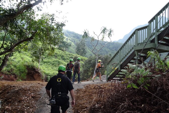 Kualoa Ranch - Zipline Tour - What you learn in Ka’a’awa Valley: Hawaiian plants with real context